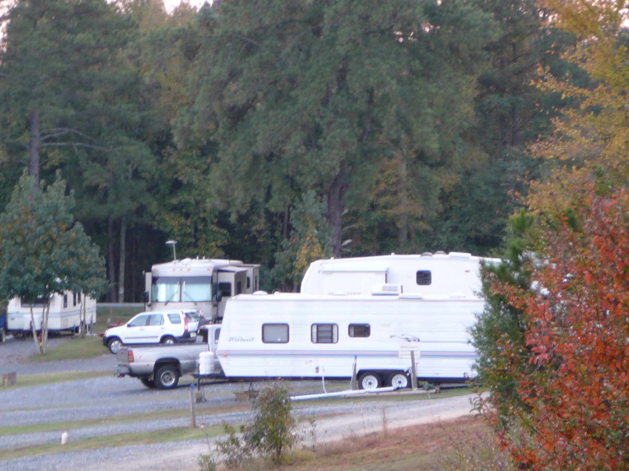 site12006.jpg